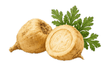 Maca Root