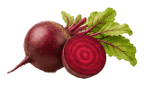 Beet Root