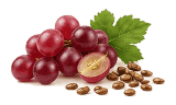 Grape Seed Extract